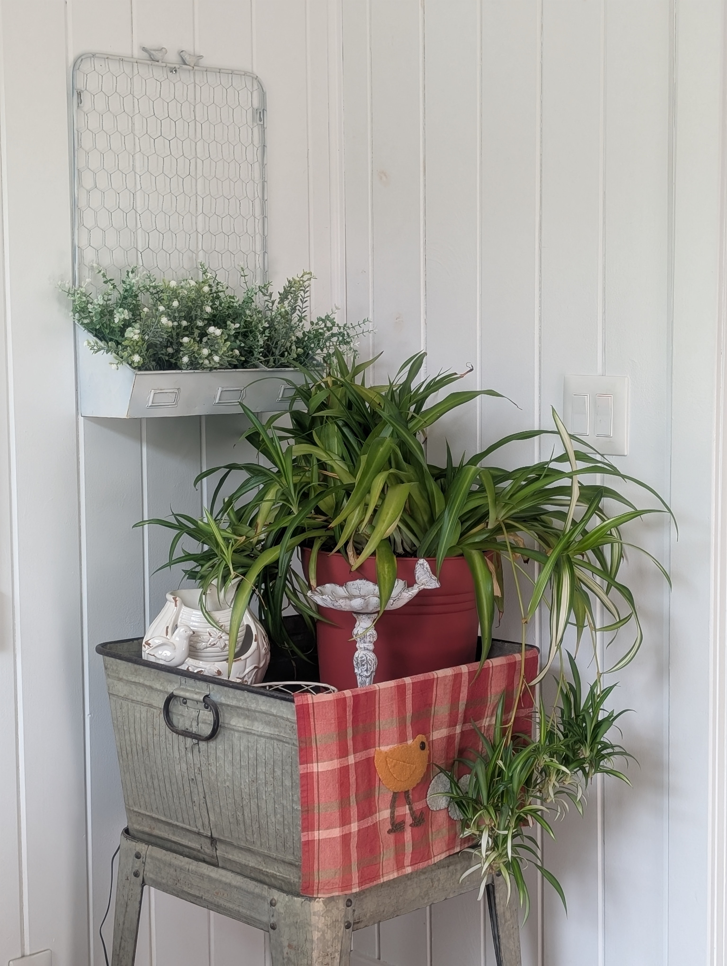 Hanging Basket